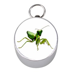 Mantis Mini Silver Compasses by Valentinaart