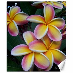 Premier Mix Flower Canvas 20  X 24   by alohaA