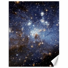 Large Magellanic Cloud Canvas 12  X 16   by SpaceShop