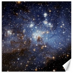 Large Magellanic Cloud Canvas 16  X 16   by SpaceShop