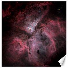 Carina Peach 4553 Canvas 20  X 20   by SpaceShop