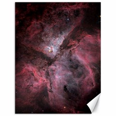 Carina Peach 4553 Canvas 18  X 24   by SpaceShop