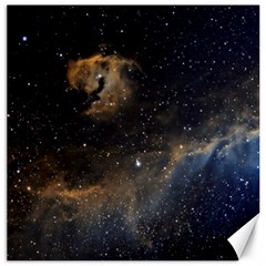 Seagull Nebula Canvas 20  X 20   by SpaceShop