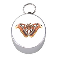 Butterfly Animal Insect Isolated Mini Silver Compasses by Simbadda