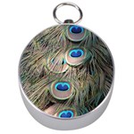 Colorful Peacock Feathers Background Silver Compasses Front