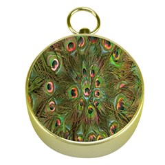 Peacock Feathers Green Background Gold Compasses by Simbadda