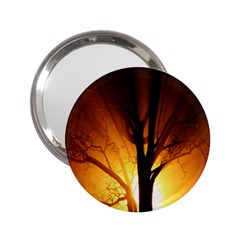 Rays Of Light Tree In Fog At Night 2 25  Handbag Mirrors by Amaryn4rt