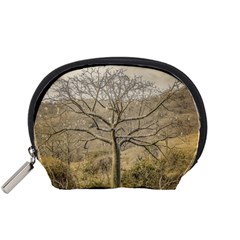 Ceiba Tree At Dry Forest Guayas District   Ecuador Accessory Pouches (small)  by dflcprints