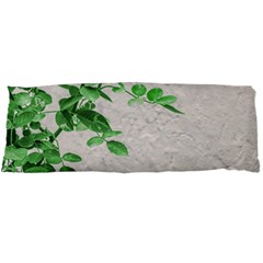 Plants Over Wall Body Pillow Case Dakimakura (two Sides) by dflcprints