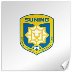 Jiangsu Suning F C  Canvas 20  X 20   by Valentinaart