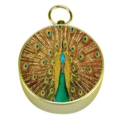 Peacock Bird Feathers Gold Compasses by Simbadda