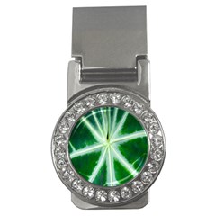 Green Leaf Macro Detail Money Clips (cz)  by Nexatart