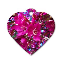 Pretty In Fuchsia 2 Dog Tag Heart (one Side) by dawnsiegler