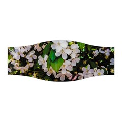 Tree Blossoms Stretchable Headband by dawnsiegler