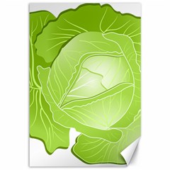 Cabbage Leaf Vegetable Green Canvas 12  X 18   by Mariart