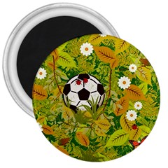 Ball On Forest Floor 3  Magnets by linceazul