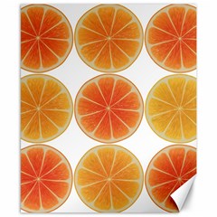 Orange Discs Orange Slices Fruit Canvas 8  X 10  by Nexatart