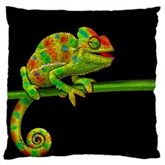 Chameleons Large Flano Cushion Case (one Side) by Valentinaart