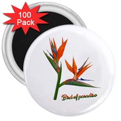 Bird Of Paradise 3  Magnets (100 Pack) by Valentinaart