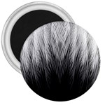 Feather Graphic Design Background 3  Magnets Front