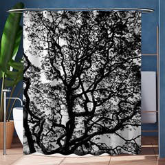 Tree Fractal Shower Curtain 60  X 72  (medium)  by BangZart