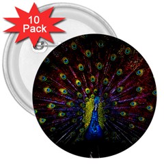 Beautiful Peacock Feather 3  Buttons (10 Pack)  by BangZart