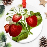 Food Fruit Leaf Leafy Leaves Ornament (Round) Front