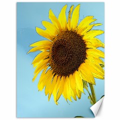 Sunflower Canvas 36  X 48   by Valentinaart