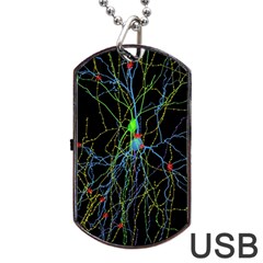 Synaptic Connections Between Pyramida Neurons And Gabaergic Interneurons Were Labeled Biotin During Dog Tag Usb Flash (two Sides) by Mariart