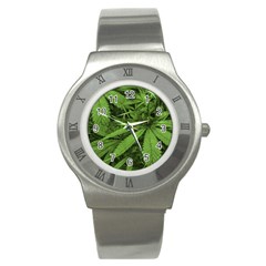 Marijuana Plants Pattern Stainless Steel Watch by dflcprints