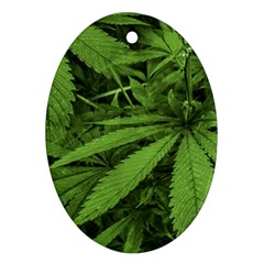 Marijuana Plants Pattern Oval Ornament (two Sides) by dflcprints