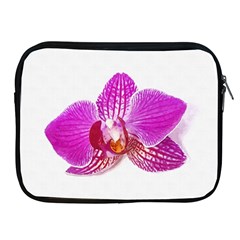 Lilac Phalaenopsis Flower, Floral Oil Painting Art Apple Ipad 2/3/4 Zipper Cases by picsaspassion