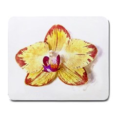 Yellow Phalaenopsis Flower, Floral Aquarel Watercolor Painting Art Large Mousepads by picsaspassion