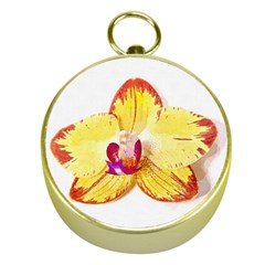 Phalaenopsis Yellow Flower, Floral Oil Painting Art Gold Compasses by picsaspassion