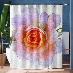 Pink Rose Flower, Floral Oil Painting Art Shower Curtain 60  X 72  (medium)  by picsaspassion