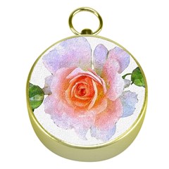 Pink Rose Flower, Floral Oil Painting Art Gold Compasses by picsaspassion