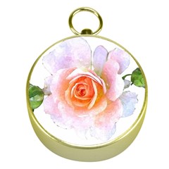 Pink Rose Flower, Floral Watercolor Aquarel Painting Art Gold Compasses by picsaspassion