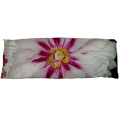 Floral Soft Pink Flower Photography Peony Rose Body Pillow Case Dakimakura (two Sides) by yoursparklingshop