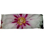 Floral Soft Pink Flower Photography Peony Rose Body Pillow Case Dakimakura (Two Sides) Back