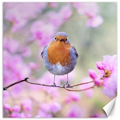 Spring Bird Bird Spring Robin Canvas 20  X 20   by Celenk