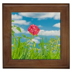 Beauty Nature Scene Photo Framed Tiles by dflcprints