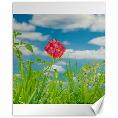 Beauty Nature Scene Photo Canvas 11  X 14   by dflcprints