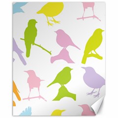 Birds Colourful Background Canvas 11  X 14   by Celenk