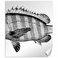 Animal Fish Ocean Sea Canvas 20  X 24   by Celenk