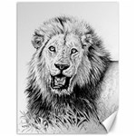 Lion Wildlife Art And Illustration Pencil Canvas 12  x 16   11.86 x15.41  Canvas - 1