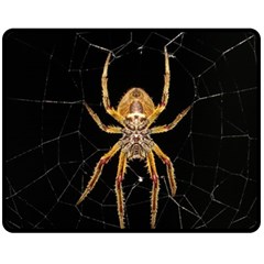 Insect Macro Spider Colombia Fleece Blanket (medium)  by BangZart