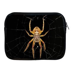 Insect Macro Spider Colombia Apple Ipad 2/3/4 Zipper Cases by BangZart