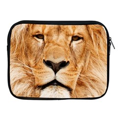 Africa African Animal Cat Close Up Apple Ipad 2/3/4 Zipper Cases by BangZart