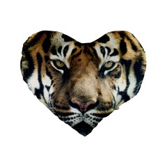 Tiger Bengal Stripes Eyes Close Standard 16  Premium Flano Heart Shape Cushions by BangZart