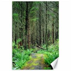 Forest Woods Nature Landscape Tree Canvas 12  X 18   by Celenk